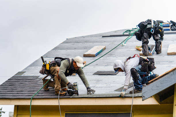 Professional Roof Inspection technician working in Middleboro, MA